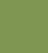 Solid Color Bulk Tissue Paper - Green Tea Bulk Tissue Paper