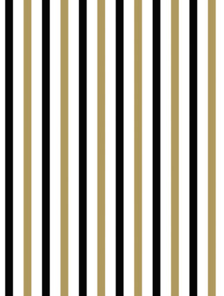 Coastal Stripe Wrapping Paper in Beige